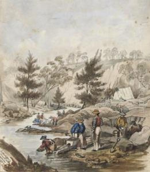 Gold Digging, Summer Hill, N.s. Wales - view 1