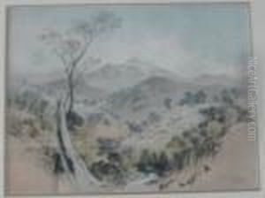 Ophir Summer Hill Creek