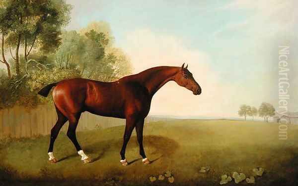 A Bay Horse in a Field, 1778 - view 1