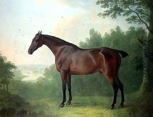 'Marquis', a bay hunter in a landscape, 1811 by John Boultbee