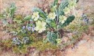 Primroses On A Mossy Bank by Helen Cordelia Coleman Angell