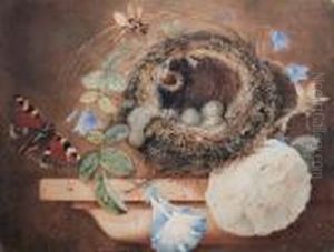 Still Life With Birds Nest On A Ledge by Helen Cordelia Coleman Angell