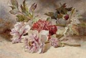 Still Life Of Rununculas And Peonies Still Life Of Rununculas And Peonies