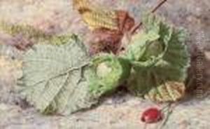 Still Life Of Hazelnuts And A Rose Hip by Helen Cordelia Coleman Angell
