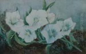 Still Life Of White Flowers by Helen Cordelia Coleman Angell