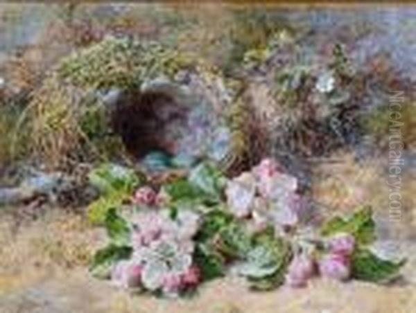 A Bird's Nest With Eggs And Primroses On An Earth Covered Bank - view 1