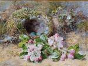 A Bird's Nest With Eggs And Primroses On An Earth Covered Bank