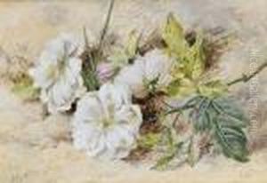 A Still Life Of A Dog Rose by Helen Cordelia Coleman Angell