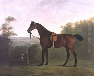 A Bay Hunter in a Landscape by John Boultbee