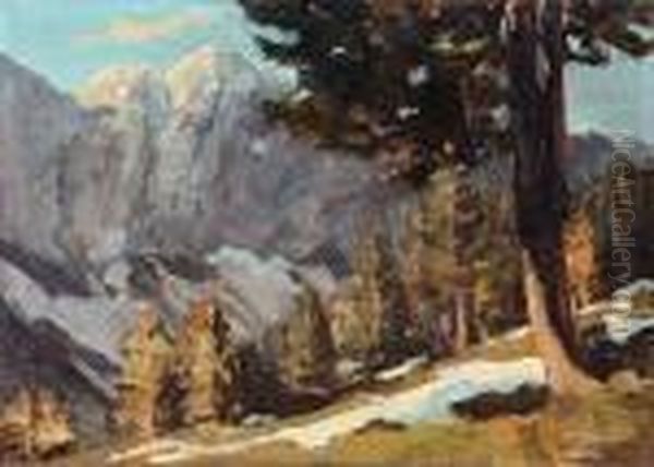 Hochgebirgslandschaft - view 1