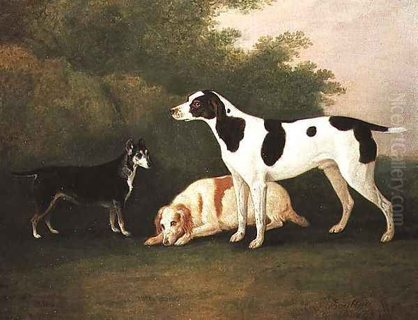 Three Dogs in a Landscape - view 1