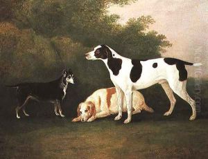Three Dogs in a Landscape by John Boultbee