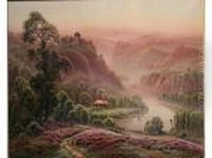 Paysage De Bruyeres