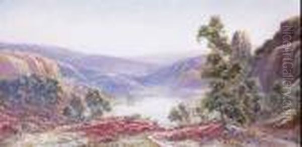 Paysage De Bruyere Dominant Le Lac - view 1
