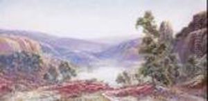 Paysage De Bruyere Dominant Le Lac