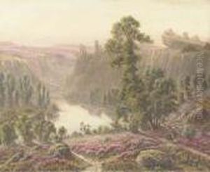 Gathering Firewood, La Creuse