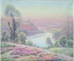 La Vallee De La Dourste La Vallee De La Dourste