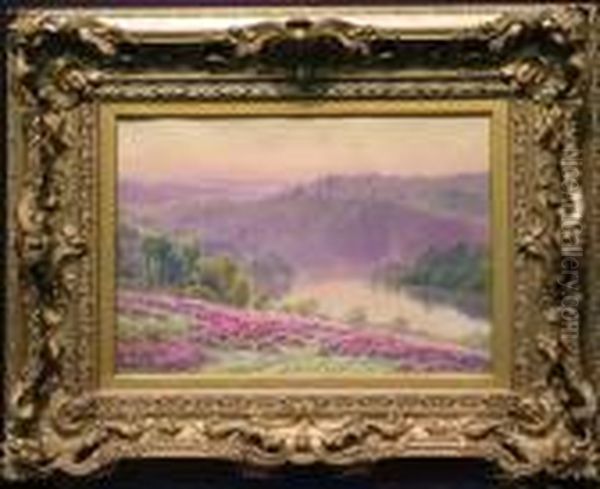 Lilac Hills - view 1