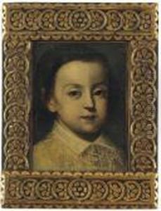 Portrait Of A Young Boy, With A Lace Collar by Sofonisba Anguissola