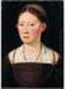 Portrait Of A Lady, Half-length, Wearing A Brown Dress by Sofonisba Anguissola