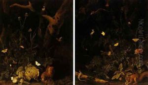 Forest landscapes with squirrels birds and insects