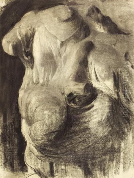 Cast Study, Draped Torso - view 1