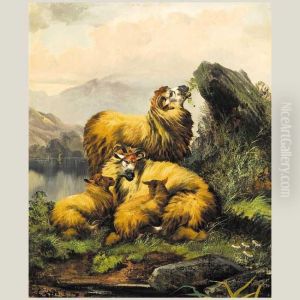 Cabras Montesas by Armand Apol
