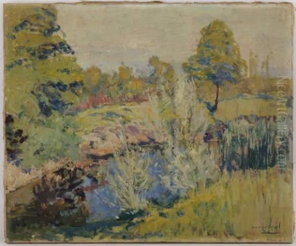 Paysage A L'etang - view 1