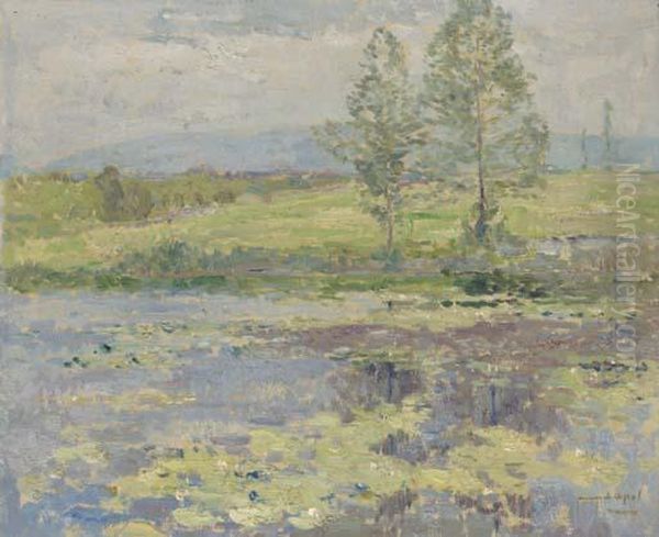 Water Lillies On A Lake - view 1