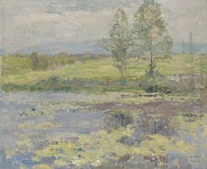 Water Lillies On A Lake by Armand Apol
