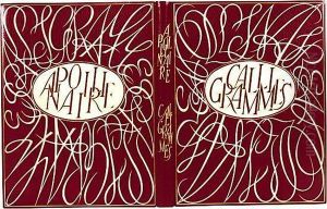 Calligrammes Paris by Guillaume Apollinaire