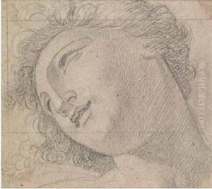 Testa Femminile by Andrea, the Elder Appiani