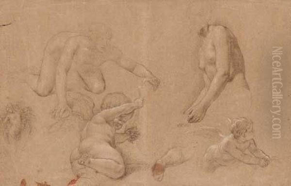Cinque Studi Di Figure - view 1
