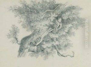 Rama De Arbol by Joaquin Araujo Y Ruano