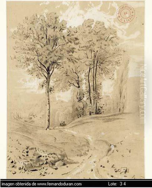 Untitled - view 1