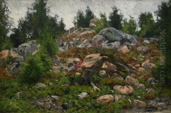 Skogsparti - view 1
