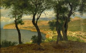 Motiv Fran Sorrento by Olof Arborelius