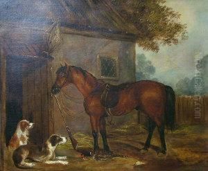 Horse And Dogs Resting Outside A Barn