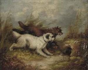 The Lucky Rabbit by George Armfield