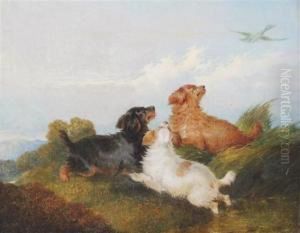 Spaniels Chasing A Duck by George Armfield