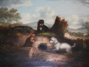 Terriers At A Rabbit Hole by George Armfield