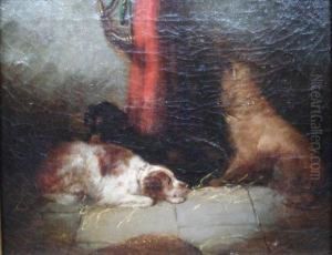Les Chiens Les Chiens