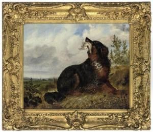 A Gun Dog Retrieving For It's Master by George Armfield