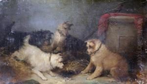 Terriers, On The Look Out! by George Armfield