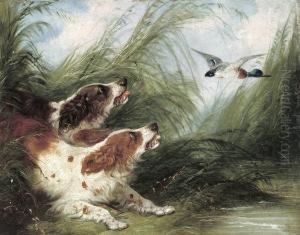 Spaniels Surprising A Duck by George Armfield
