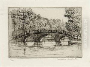 Un Petit Pont A Amsterdam #9/100 Un Petit Pont A Amsterdam #9/100