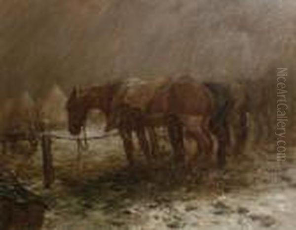 Horses Resting On The Western Front - view 1