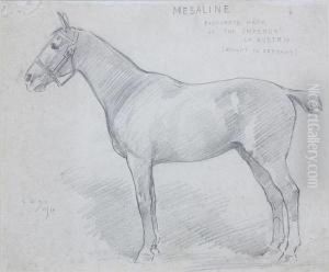 Mesaline, Favourite Hack Of The Emperor Of Austria (bought In Germany) by George Denholm Armour