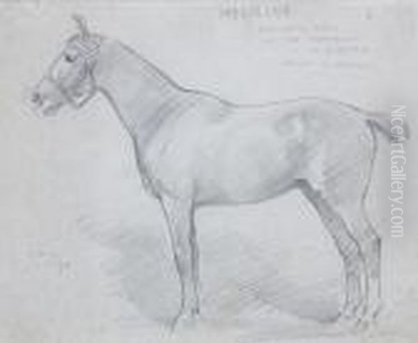 Mesaline, Favourite Hack Of The Emperor Ofaustria - view 1