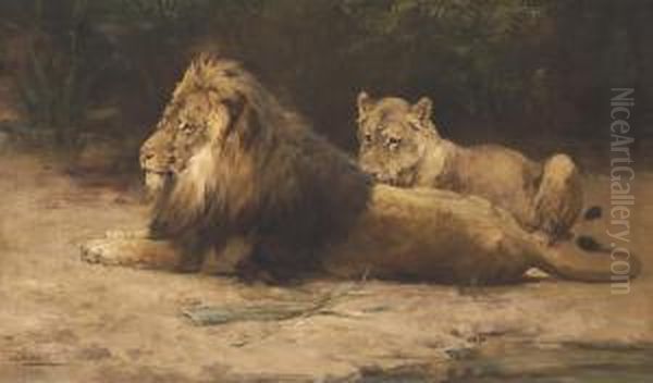 Lion And Lioness At Rest by George Denholm Armour